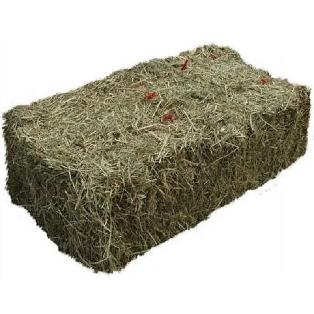 Quality Alfalfa Hay / Alfalfa Hay Pellets / Wheat bran pellets Cheap Alfafa Hay for Animal Feeding Stuff
