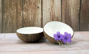 El principal proveedor vietnamita proporciona un tazón de cáscara de coco de alta calidad y el mejor precio, uso para guardar alimentos-99 Gold Data - Product Image 4