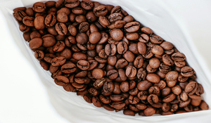 เมล็ดกาแฟอาราบิก้าคุณภาพพรีเมียม รสชาติหลากหลาย คั่วระดับกลาง บรรจุถุง สำหรับร้านกาแฟและโรงงานผลิตเครื่องดื่ม ขายส่ง - Product Image 6