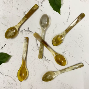 ช้อนเสิร์ฟทำจากเขาสัตว์ขัดเงาอย่างดี ดีไซน์แบบดั้งเดิมใหม่ ของตกแต่งบ้าน ทำจากเขาควายและกวางธรรมชาติ โดย Tradebit - Product Image 1