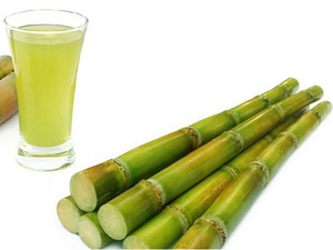 อ้อยแช่แข็งคุณภาพสูง เกรด A ราคาดีที่สุด สำหรับส่งออกจากเวียดนาม ปี 2023 - Product Image 6