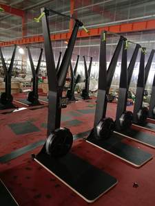 YL-AS004ホット販売ジム機器フィットネス商用スキーマシンとスキーErg - Product Image 3