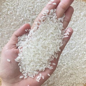 Riz Jasmin de Meilleure Qualité pour le Marché Ghanéen, Fournisseur de Riz Exportateur du Vietnam - Product Image 4