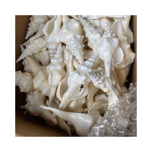 Exportation de 100% pendentif naturel coquillage océan spirale plage coquille fabricant au Vietnam - Product Image 1