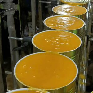 Purée de mangue Alphonso de couleur intense pour les fabricants de produits alimentaires gastronomiques Consistance lisse Totapuri - Product Image 4