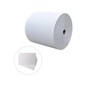 Tree Layers Triplex White Back Board Paper High Quality High Stiffness Smoothness Product 230gsm Thickness Duplex Paper Board