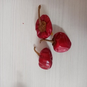 CHILE REDONDO PICANTE DE ORIGEN INDIO MARCA RGPL CON UN AÑO DE VALIDIDAD A LA VENTA por RADIANCE GLOBAL TRADERS - Product Image 3