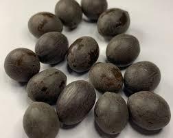 Semillas de loto negro sin procesar, semillas de flor de loto negra de alta calidad - Product Image 5