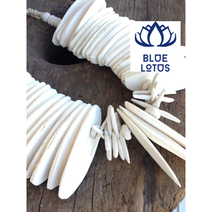 อาหารเสริมก้างปลาธรรมชาติสำหรับสัตว์ฟันแทะนกสัตว์เลื้อยคลานการเพิ่มแคลเซียม - Product Image 1