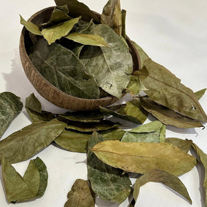 Hoja de Graviola seca, la mejor calidad, el precio más barato, Hojas de Guanábana seca a granel para hacer té saludable - Product Image 5
