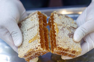 Miel pur naturel en nid d'abeille brut en gros pour usage humain du Vietnam - Product Image 2