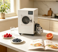 Commerciële kleine vriesdroogmachine voor snoep, fruit en voedsel, lyofilisator, prijs voor thuisgebruik met vacuümpomp