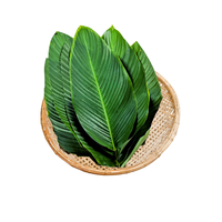 Dong de feuille biodégradable écologique pour la décoration d'emballage alimentaire sacs en plastique alternatifs durables nouvelle agriculture de culture