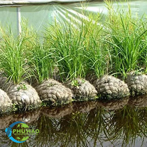 Vietnam's Coconut Coir Logs for your garden! 2024 wholesale with great prices and sustainability. - Product Image 4