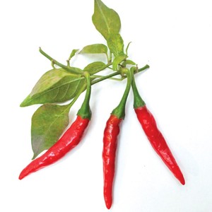 100% piment frais rouge naturel épicé de haute qualité au prix de gros du fabricant autrichien emballage sous vide - Product Image 4