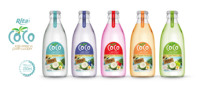 Vietnam-Exporteur Biedt Oem/Odm Kokoswater 250Ml Glazen Fles Originele Smaakpuree Voor Een Goede Prijs