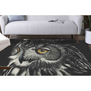 Tapis Hibou, Tapis Cadeau pour Amateurs d'Hiboux, Tapis Style Ferme, Tapis Animalier, Tapis Doux à Poils Longs - Product Image 1