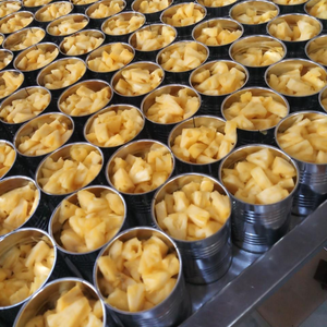 VENTA AL POR MAYOR REBANADAS DE PIÑA CONSERVADORAS 567G | CALIDAD DE EXPORTACIÓN EN SALMUERA - Product Image 4