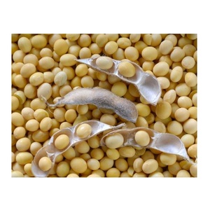 Wholesale Quality High Grade Non Gmo Organic Yellow <b>Soybeans</b> Delicious <b>Soybeans</b> Sale by Bulk Supplier - Product Image 2