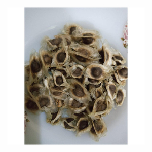 ผงสกัดใบมะรุมสมุนไพรที่ผ่านการรับรอง ผงสกัดเมล็ดมะรุม สีเขียวอ่อน - Product Image 6
