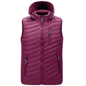 Col montant deux poches zippées pour les mains Chaud Polyvalent Haute Qualité À La Mode Hiver Vers Le Bas Puffer Gilet À Capuche - Product Image 3