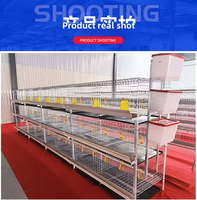 Système de cages en couches de type H YIMUDA avec collecte automatique d'œufs à haute efficacité, en acier galvanisé et courroie en PVC pour élevage de poulets
