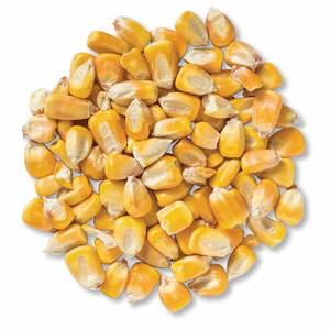 Premium Quality Air <b>Dried</b> <b>Vegetables</b> Yellow Corn for Sale - Product Image 3