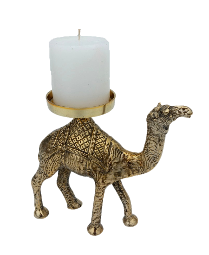 ตามที่แสดง