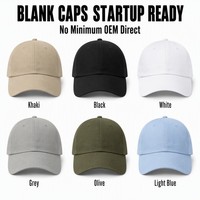 Gorra de Béisbol Bordada Personalizada, 6 Paneles, Sarga de Algodón, Visera Curva, Ajustable, Unisex, para Promociones al Aire Libre