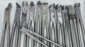 Ensemble de 12 pièces de forceps d'extraction de dents dentaires de cheval molaire équine en acier inoxydable vétérinaire réutilisable toutes sortes de qualités italie - Product Image 4