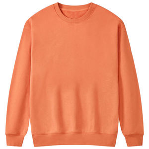OEM Pull 100% coton imprimé sur mesure vierge Sweat-shirt uni unisexe à col rond en polaire épaisse pour hommes - Product Image 4