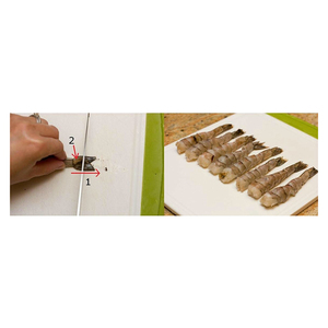 Livraison rapide de crevettes crues étirées pour les programmes d'approvisionnement direct en usine - Product Image 6