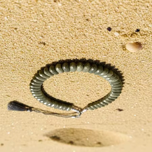 Pierre naturelle de qualité AAA, prix de gros, meilleur prix, design luxueux, tendance, prix attractif, pierre naturelle idéale pour la vente en gros - Product Image 6