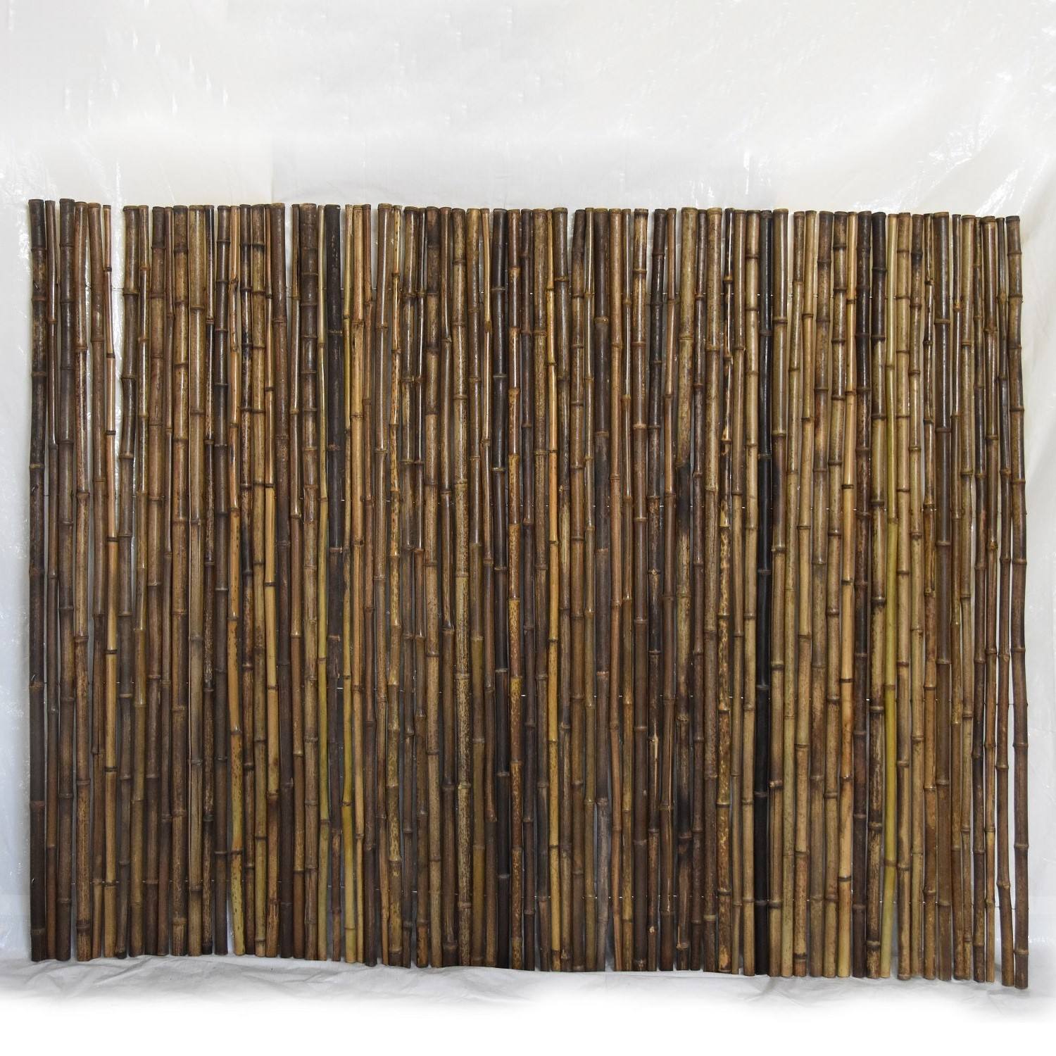 ธรรมชาติ