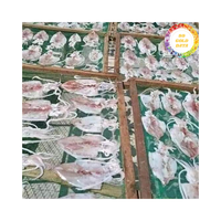 Calmar séché de qualité alimentaire du Vietnam, fabriqué à partir de calmar entier, idéal pour les applications de barbecue et la demande en gros