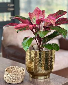 Jardinière ronde décorative en métal avec finition laiton antique et texture martelée pour décoration de plantes d'intérieur - Product Image 3