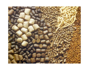 Alimento para aves de corral de alta calidad, carne de animales de pollo, harina de hueso a bajo precio de mercado, alimento para aves de corral de alta calidad 50%, alimento para animales de pollo - Product Image 2