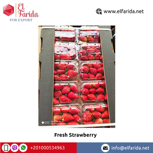 สตรอเบอร์รี่สดรสหวานอร่อย - Product Image 5