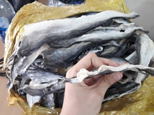 Piel de pescado Basa seca natural de alta calidad OEM piel de pescado Basa Pangacius seca - Product Image 3