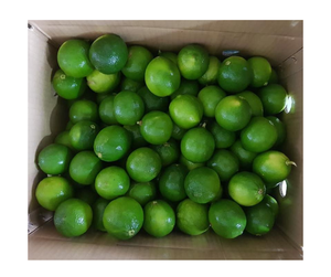 มะนาวสดที่ดีที่สุดของเวียดนาม100% ปลูกธรรมชาติแบบไร้เมล็ดมะนาวสดฉ่ำคุณภาพระดับพรีเมี่ยม - Product Image 3