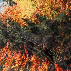 Último estilo nueva llegada personalizado color sublimación sudaderas algodón poliéster venta al por mayor sublimación sudaderas con capucha - Product Image 6