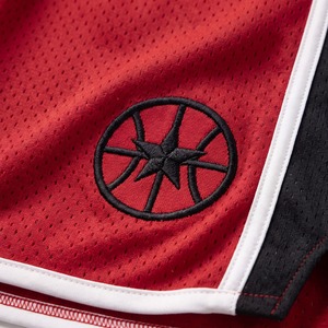 Pantalones Cortos de Malla Personalizados de 9 Pulgadas, Estilo Retro de Baloncesto, con Paneles Laterales de Malla Perforada, Bordados, Venta al por Mayor OEM - Product Image 4