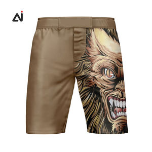Aggrand Industry, pantalones cortos de lucha MMA para hombres con diseño de logotipo personalizado de alta calidad, servicio OEM para boxeo, artes marciales, desgaste varios - Product Image 2