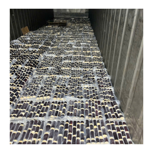 Trozos de caña de azúcar congelada pelada y lista para exportar caña de azúcar congelada ideal para cadenas de batidos en todo el mundo - Product Image 6