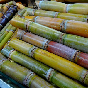 Caña de azúcar congelada dulce y fresca de alta calidad de Vietnam - Product Image 1