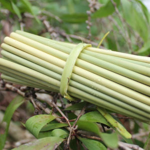 Vendedor caliente, accesorios de barra de pajitas de hierba biodegradables ecológicas para beber, desechables certificados hechos en Vietnam - Product Image 2