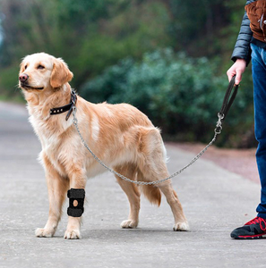 Attelle de genou pour chien ELEVE, respirante, chaude, en tissu polaire mignon, manchon de protection pour les articulations des animaux de compagnie, toutes saisons - Product Image 2