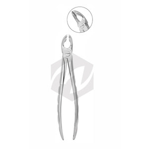 Forceps dentaires de qualité supérieure, manche fantaisie, acier inoxydable allemand, forceps d'extraction dentaire / pinces dentaires - Product Image 2