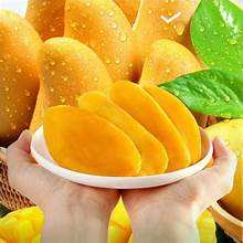 SUPPORT IMMUNITAIRE TENDRE Tranches de mangue séchées à base de fruits mûrs - Product Image 5