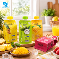Pochettes à bec verseur personnalisées avec logo pour boissons énergisantes, bières, sodas, jus – Anti-fuite, aseptiques, en Mylar laminé pour emballage de boissons – Vente en gros